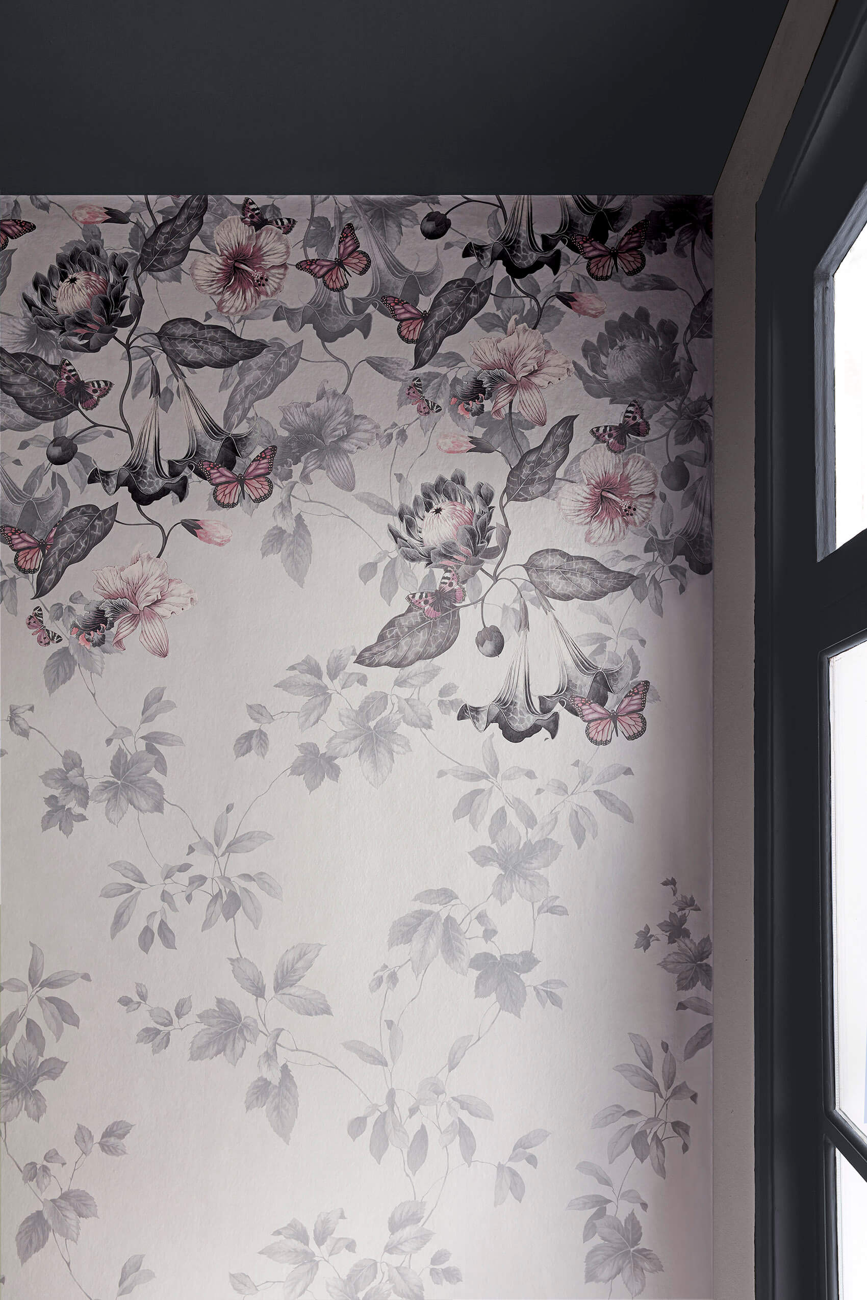 Asterid - Nightshade - 2